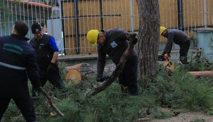 Osmangazi Belediyesi’nden Lodosa Karşı Etkin Müdahale