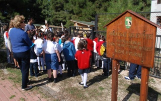 /tesisler/veterinerlik/dsc-0185-1.jpg