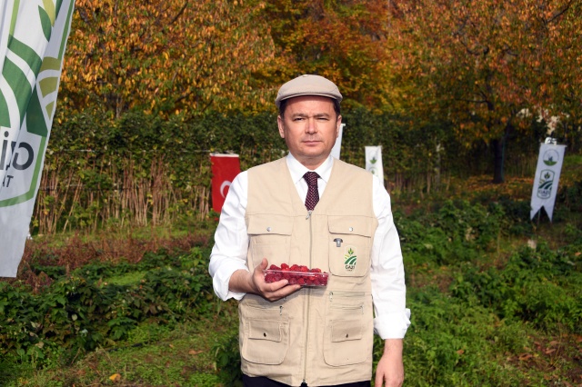 Osmangazi’de Üzümsü Meyvelerde Organik Tarım Seferberliği